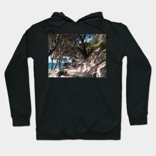 walking track Hoodie